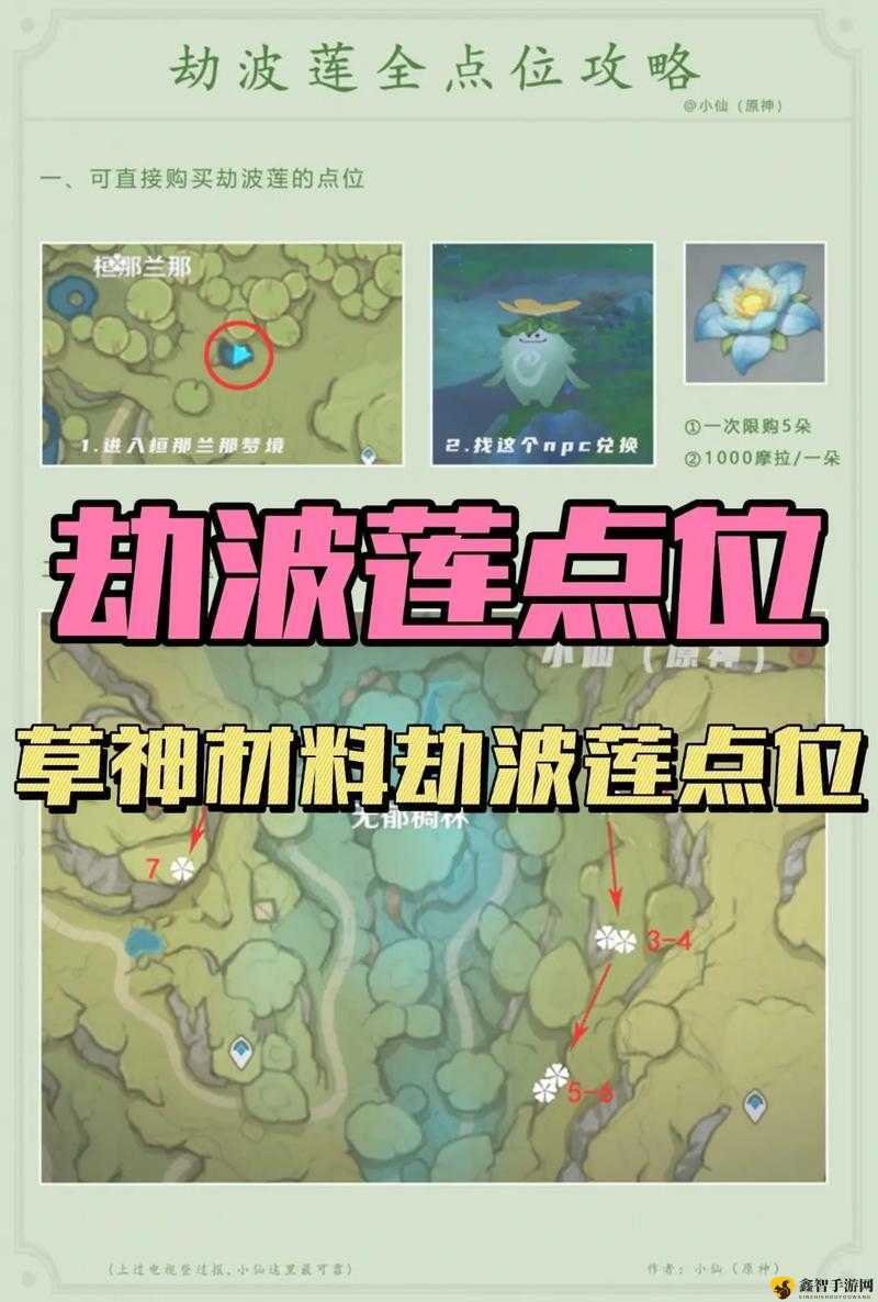 原神劫波莲位置采摘路线全攻略,预见玩法革命的未来